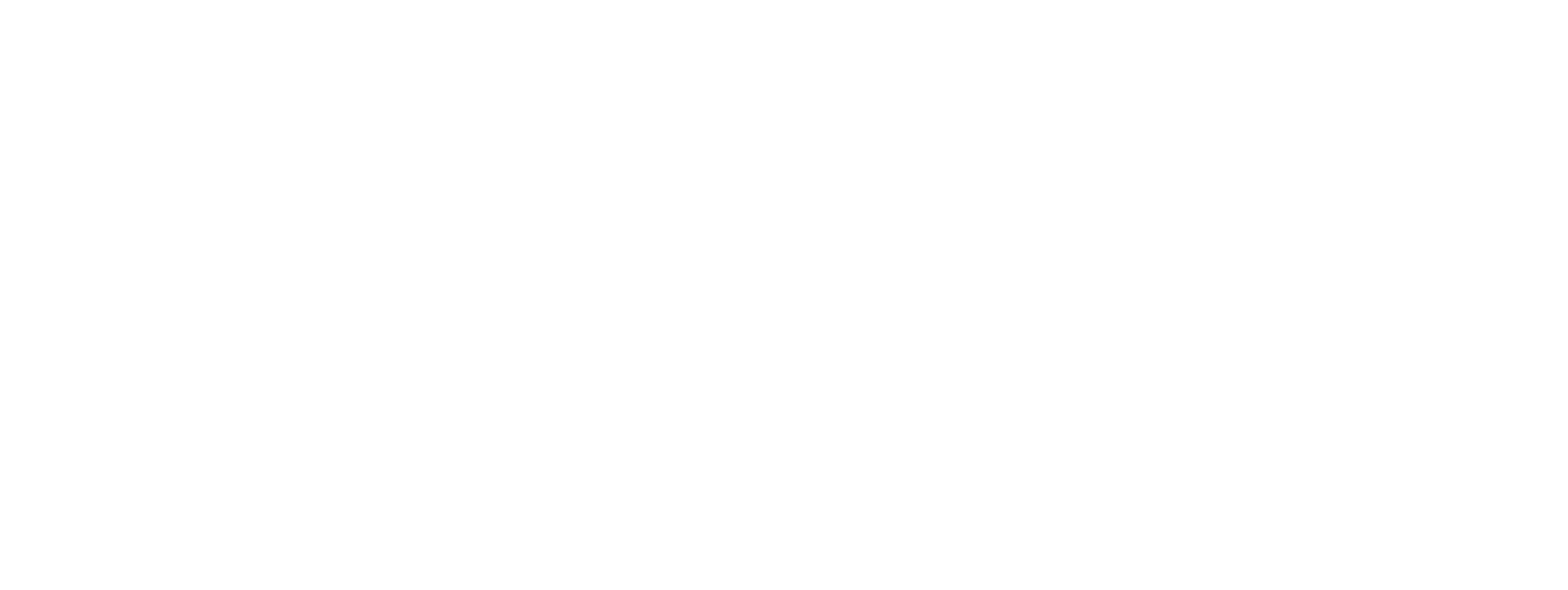 Senior AI Institute